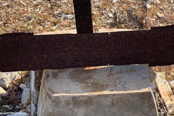 Βιβλιοθήκη Σκουριά-12