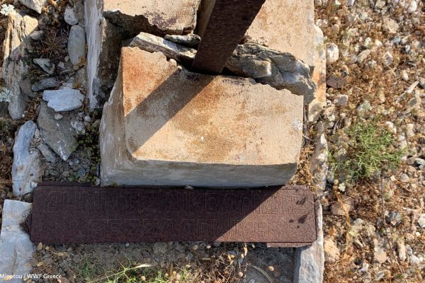 Βιβλιοθήκη Σκουριά-13