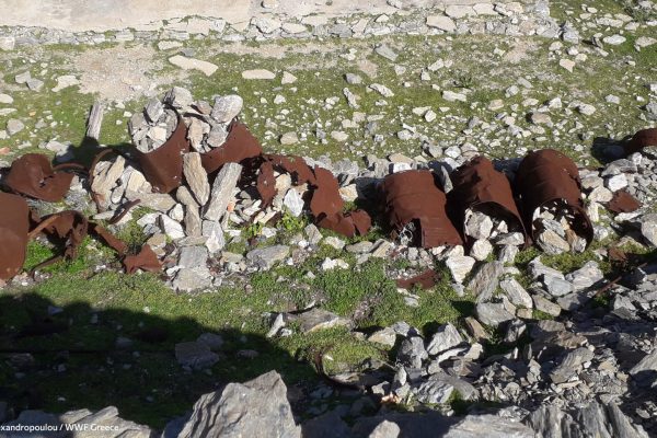 Βιβλιοθήκη Σκουριά-15