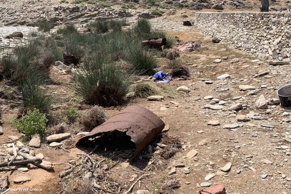 Βιβλιοθήκη Σκουριά-18