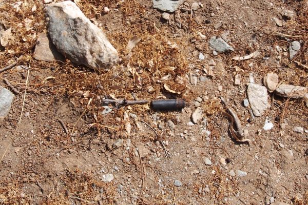 Βιβλιοθήκη Σκουριά-19