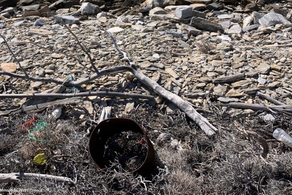 Βιβλιοθήκη Σκουριά-20