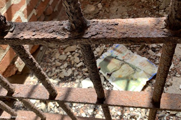 Βιβλιοθήκη Σκουριά-23