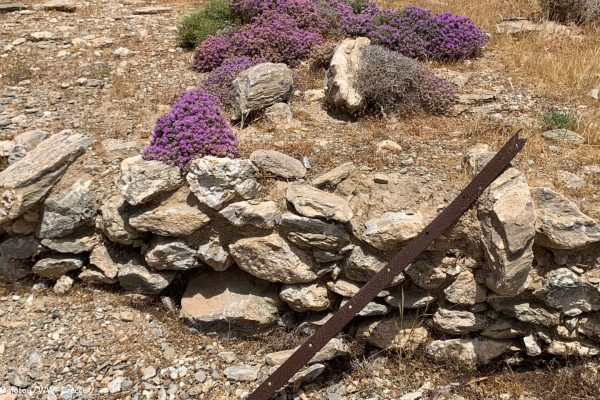 Βιβλιοθήκη Σκουριά-8