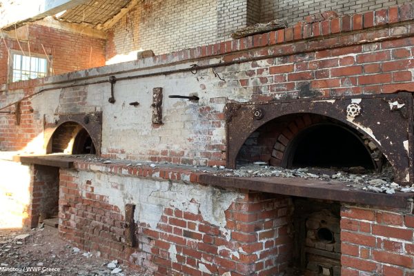 Βιβλιοθήκη Φυλακή Έσω-10