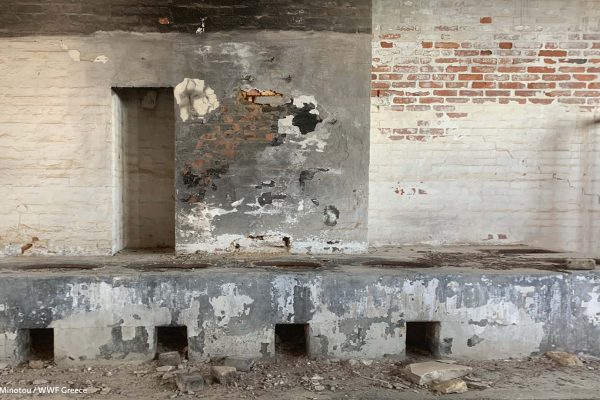 Βιβλιοθήκη Φυλακή Έσω-12