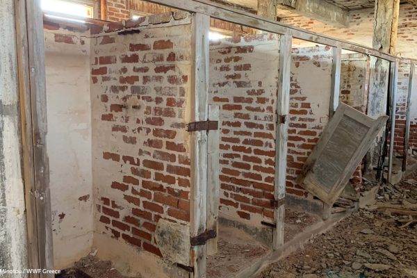 Βιβλιοθήκη Φυλακή Έσω-17