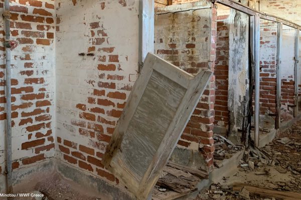 Βιβλιοθήκη Φυλακή Έσω-18