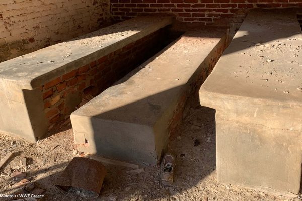 Βιβλιοθήκη Φυλακή Έσω-20