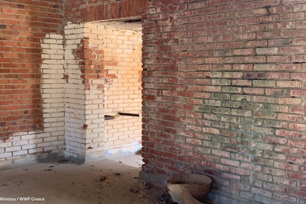 Βιβλιοθήκη Φυλακή Έσω-21