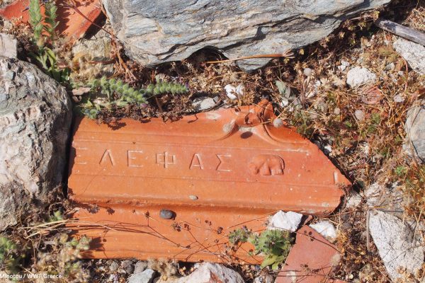 Βιβλιοθήκη Φυλακή Έσω-37