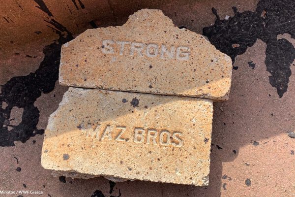 Βιβλιοθήκη Φυλακή Έσω-39