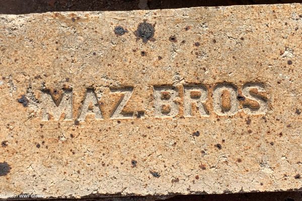 Βιβλιοθήκη Φυλακή Έσω-40