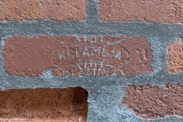 Βιβλιοθήκη Φυλακή Έσω-41