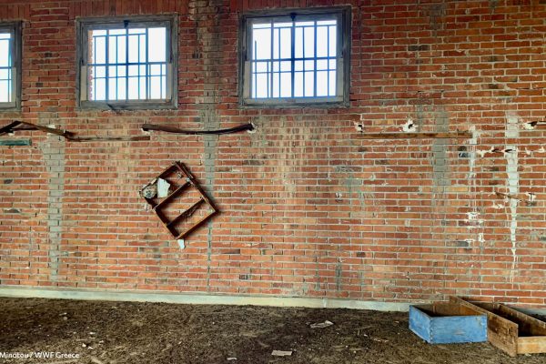 Βιβλιοθήκη Φυλακή Έσω-6