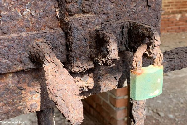 Βιβλιοθήκη Φυλακή Έσω-8