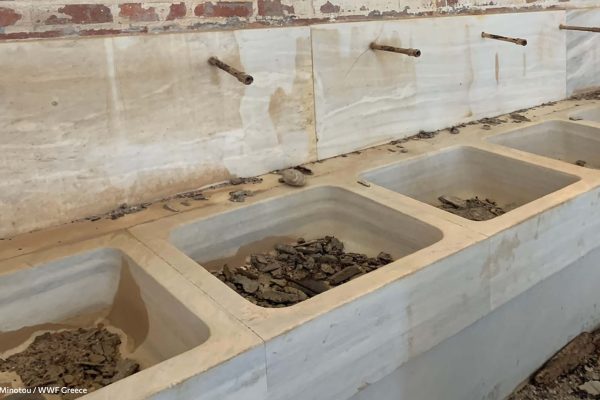 Βιβλιοθήκη Φυλακή Έσω-9