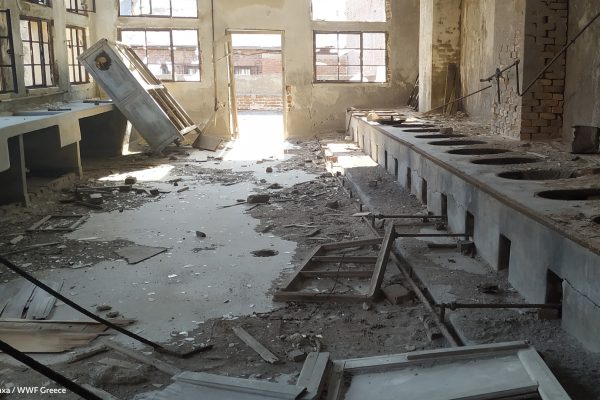 Βιβλιοθήκη Φυλακή Έσω-extra