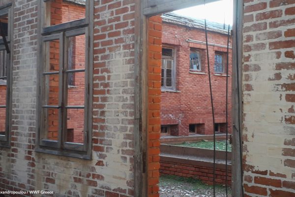 Βιβλιοθήκη Φυλακή Εσωτερικό προαύλιο-7