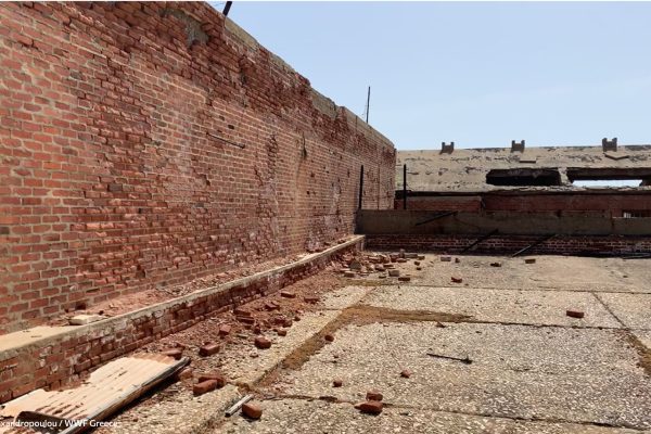 Βιβλιοθήκη Φυλακή Εσωτερικό προαύλιο4