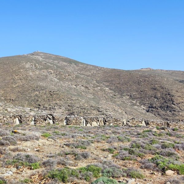 Οι ξερολιθιές που χωρίζουν το νησί και αχνοφαίνονται στα μάτια των επισκεπτών (Πηγή: ΟΙΚΟΜ ΕΠΕ)