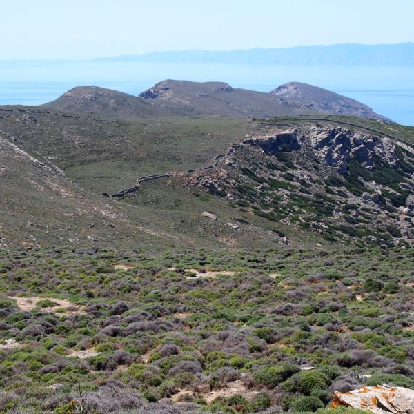 Το χαρακτηριστικό τοπίο της Γυάρου (Πηγή: ΟΙΚΟΜ ΕΠΕ)