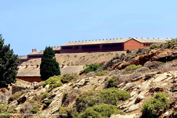 δέντρα Ar. Junior 2